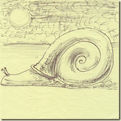 Snail