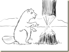 Beaver